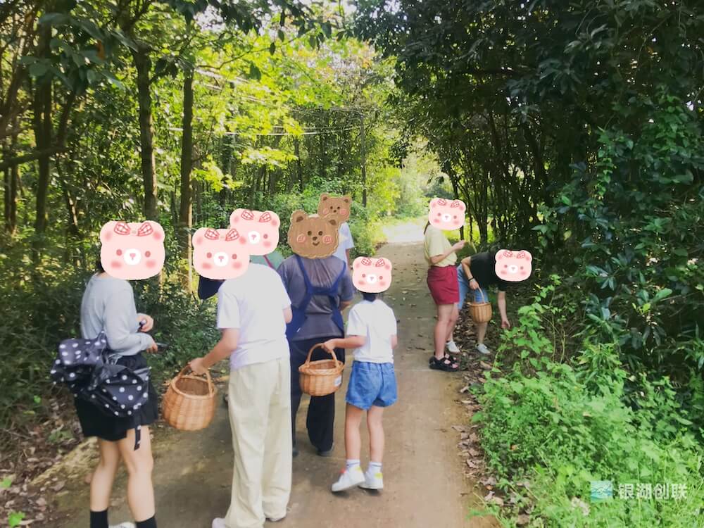 国庆喧嚣逃离计划:窑烤面包+植物拓染